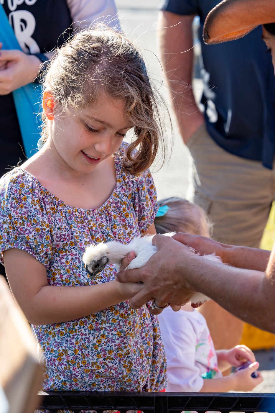 A child looks down at a fluffy chicken held carefully with guidance from an adult.